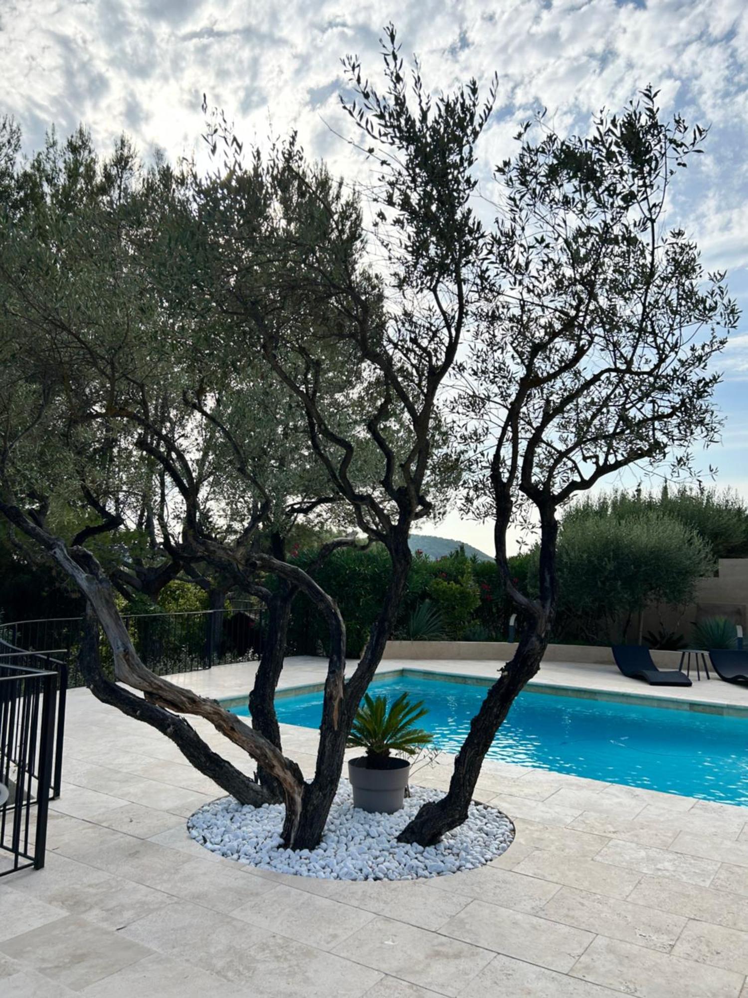 Villa De Charme En Campagne Avec Piscine Privee Et Nature Luxuriante